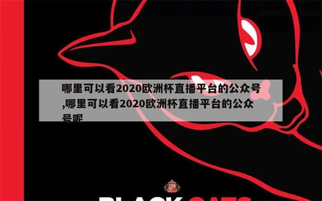 2020欧洲杯推荐公众号 2020欧洲杯播放平台-第3张图片-www.211178.com_果博福布斯