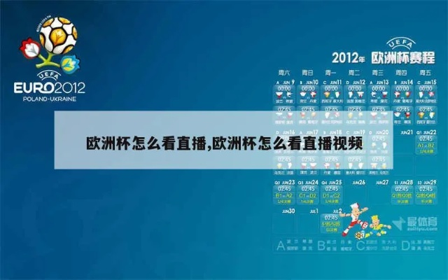 如何查看欧洲杯视频比赛 快速了解欧洲杯视频直播方式-第3张图片-www.211178.com_果博福布斯